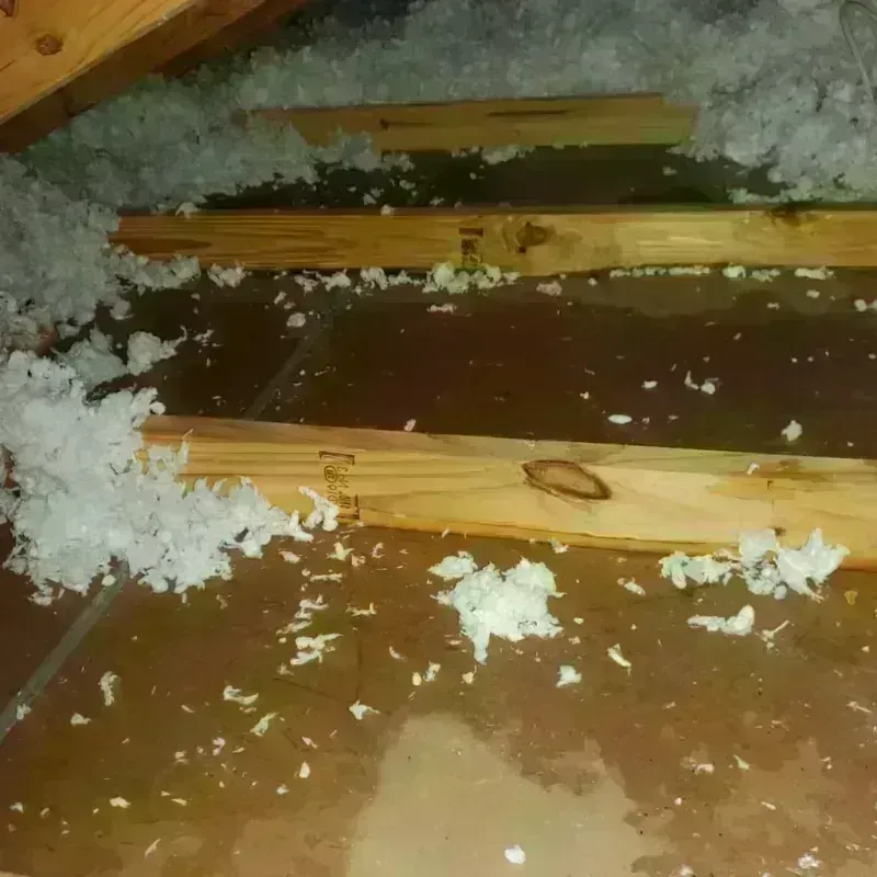 Attic Water Damage in Taylor, PA