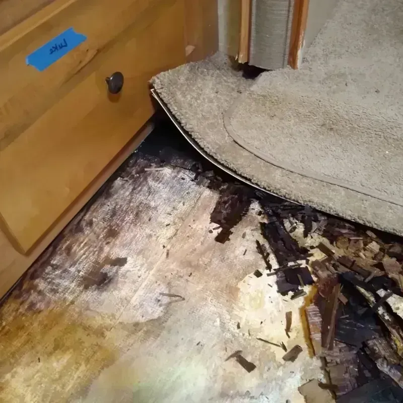 Wood Floor Water Damage in Taylor, PA